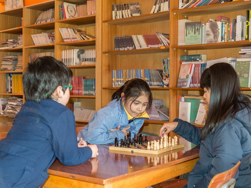 biblioteca colegio sta aysén
