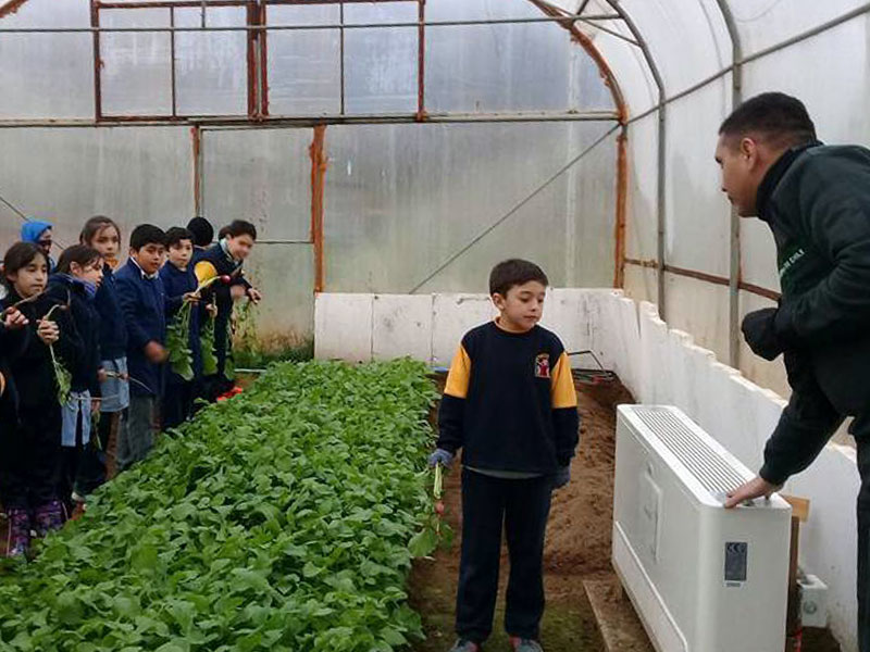 invernadero colegio santa teresa de los andes - puerto aysén